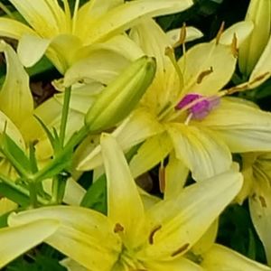 Meet your Posher, Brenda sean